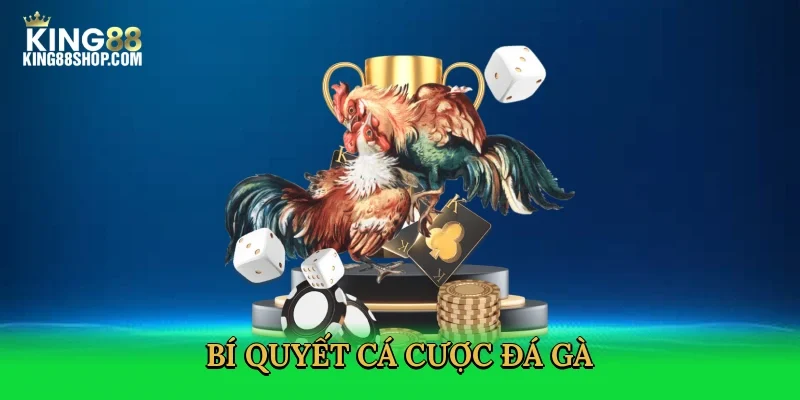 bi-quyet-ca-cuoc-da-ga-4