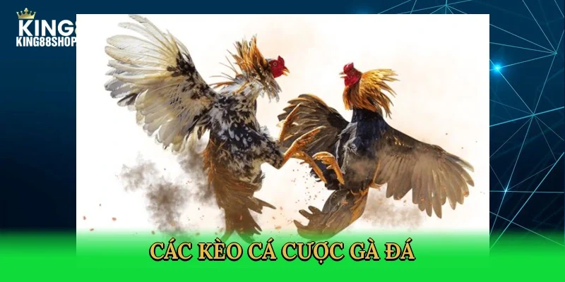 cac-keo-ca-cuoc-ga-da-3