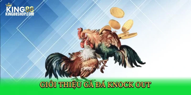 gioi-thieu-ga-da-knock-out-2