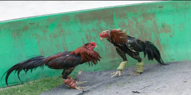 5 kinh nghiệm chơi tuyệt