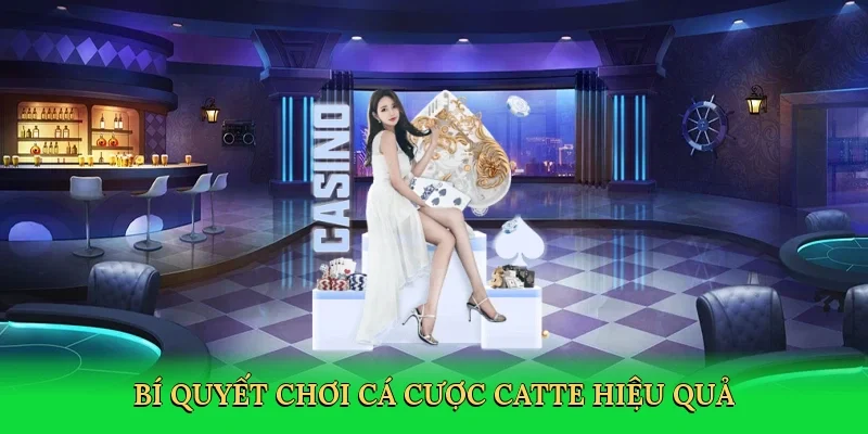 Bí quyết chơi cá cược catte hiệu quả