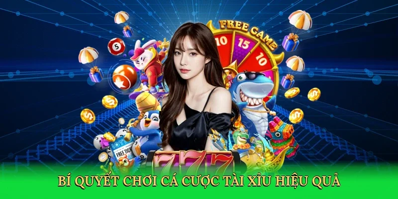 Bí quyết chơi cá cược tài xỉu hiệu quả