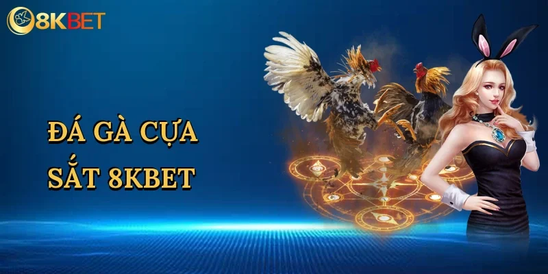 da-ga-cua-sat-8kbet-1