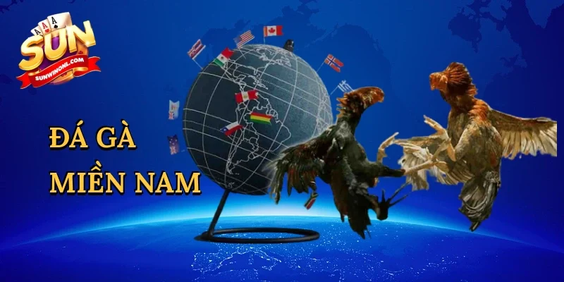 Đá gà miền nam