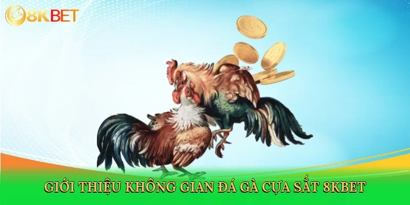 gioi-thieu-khong-gian-da-ga-cua-sat-8kbet-2