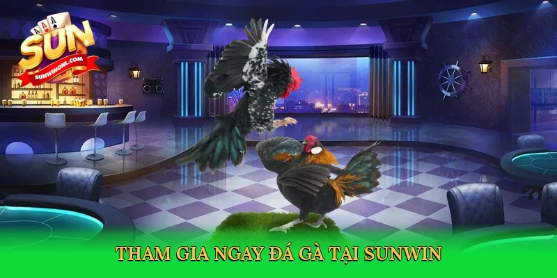 Tham gia ngay đá gà tại Sunwin