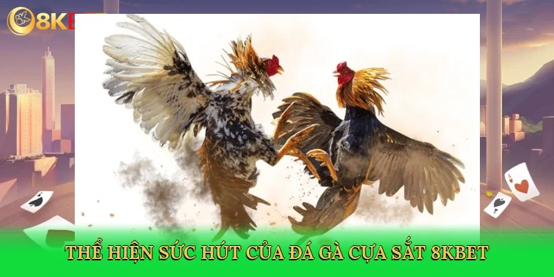 the-hien-suc-hut-cua-da-ga-cua-sat-8kbet-3