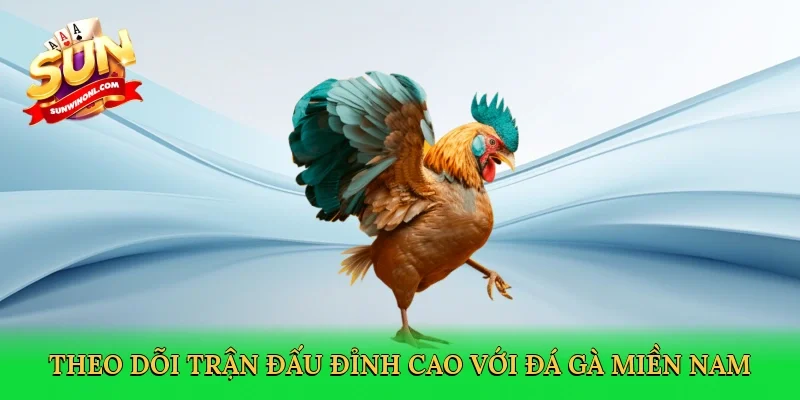 Theo dõi trận đấu đỉnh cao với Đá gà miền nam