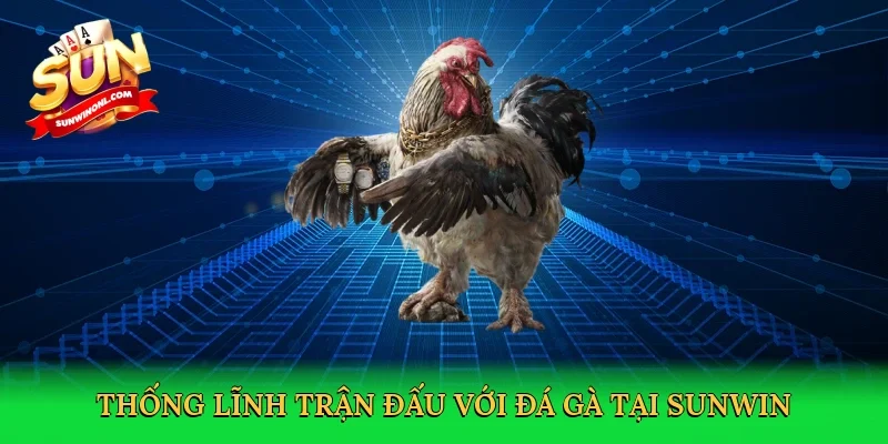 Thống lĩnh trận đấu với đá gà tại Sunwin