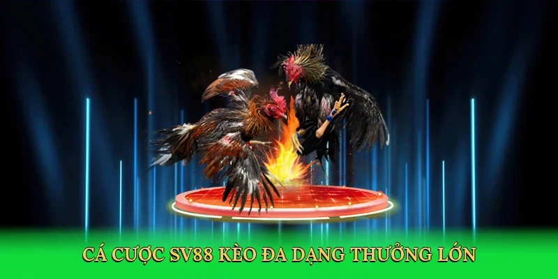 Cá cược SV88 kèo đa dạng thưởng lớn