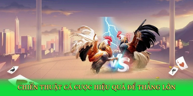 Chiến thuật cá cược hiệu quả để thắng lớn
