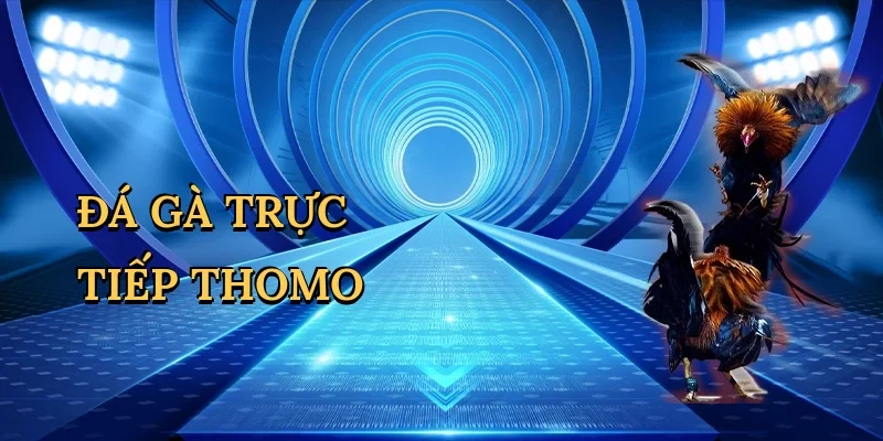 Đá gà trực tiếp Thomo