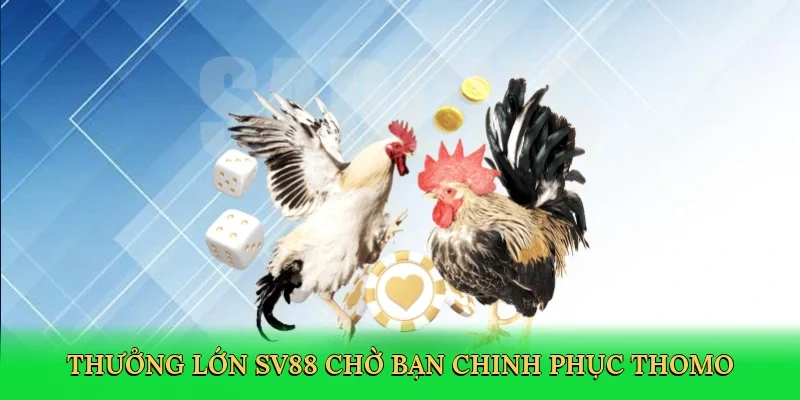 Thưởng lớn SV88 chờ bạn chinh phục Thomo