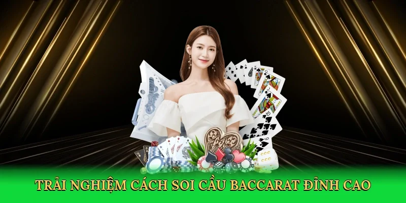 Giới thiệu về Đá gà trực tiếp ở Thomo tại King88